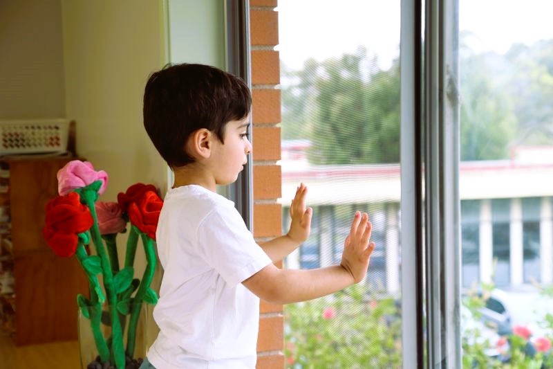 child at the window