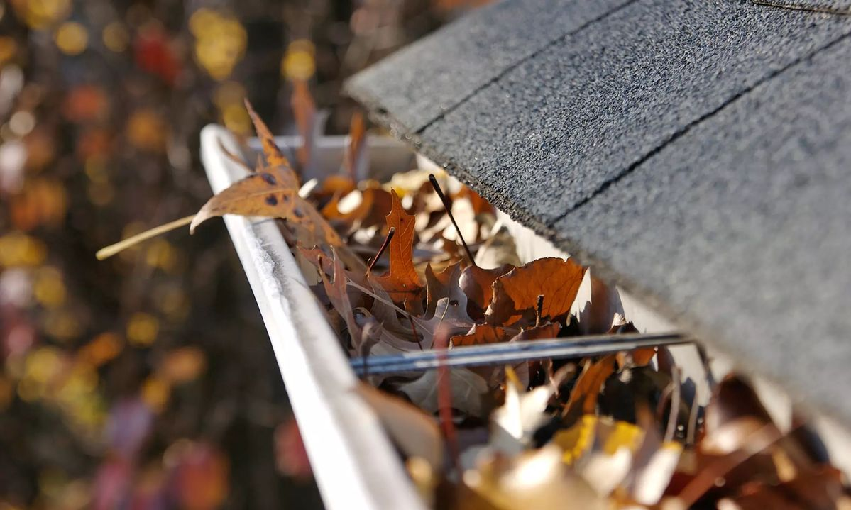 Clogged rain gutter filled with autumn leaves and debris